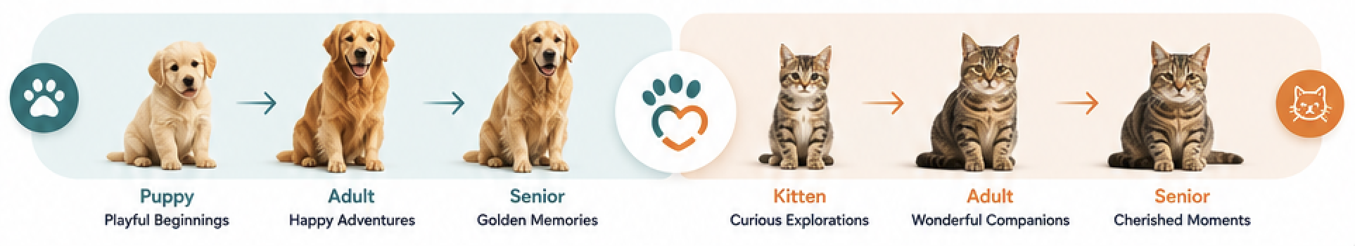 Pet lifecycle — Puppy to Senior, Kitten to Senior